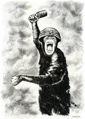 Балицкий сообщил, что ВСУ ведут себя с ЗАЭС, «как обезьяна с гранатой» | ИА  Красная Весна