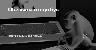 Monkey Computer, Маленькая обезьяна играет на компьютере, компьютерная  сеть, млекопитающее, коричневый png | Klipartz