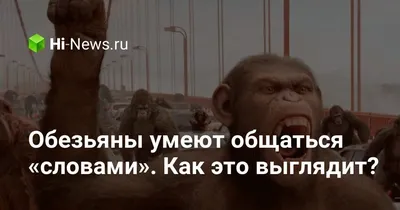 Обезьяний язык: как человек научился понимать обезьян» — создано в Шедевруме