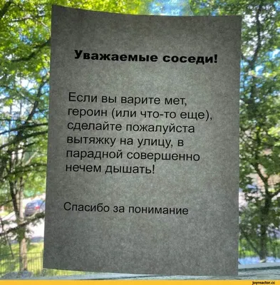 Кто ищет, тот всегда найдет (18 фото) » Невседома - жизнь полна  развлечений, Прикольные картинки, Видео, Юмор, Фотографии, Фото, Эротика.  Развлекательный ресурс. Развлечение на каждый день