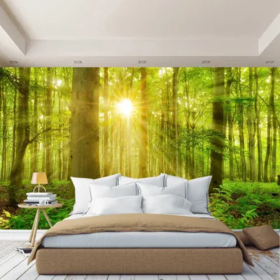 Обои фотообои фотообои 3d на стену обои флизелиновые фото обои на стену  Густой зеленый лес охваченный лучами солнца. - купить по выгодной цене |  AliExpress