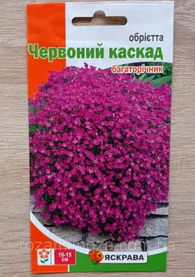 Обриета Красный каскад 0.1 г, Яскрава, цена 8 грн — Prom.ua (ID#1734415769)