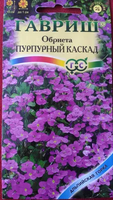 Обриета Пурпурный каскад - фото урожая, цены, отзывы и особенности  выращивания