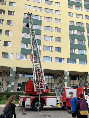 Государственный Университет Управления, Общежития в Москве, Рязанский пр.,  99 - фото, отзывы 2024, рейтинг, телефон и адрес