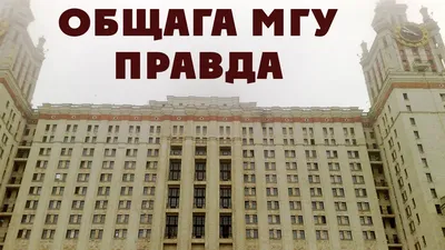 Студент из Ирака приехал в общежитие СПбГУ и удивился » Триникси