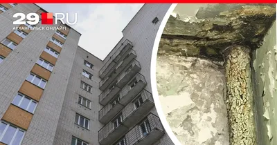 Аспирантка рассказала об условиях в архангельском общежитии - 1 июня 2023 -  29.ru