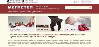 Создание интернет-магазина обуви «TOMODNO» - создание сайтов WebLux