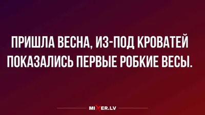 общее / смешные картинки и другие приколы: комиксы, гиф анимация, видео,  лучший интеллектуальный юмор.