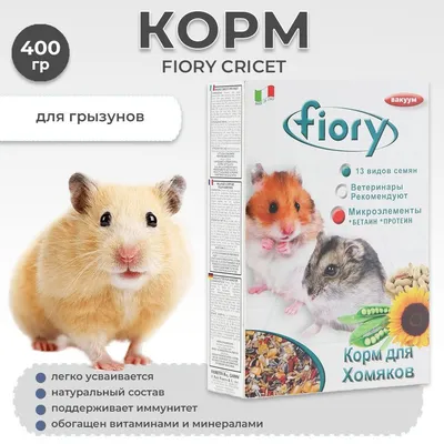 Корм для грызунов FIORY CRICETI - Фиори корм для хомяков (400 гр), товары  для грызунов, лакомство для хомяка - купить с доставкой по выгодным ценам в  интернет-магазине OZON (1076177857)