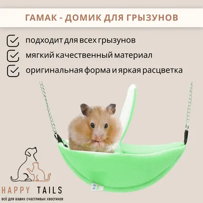 Шлейка для крыс поводок для грызунов хомяков хорьков дегу PETSROOM 22721449  купить в интернет-магазине Wildberries