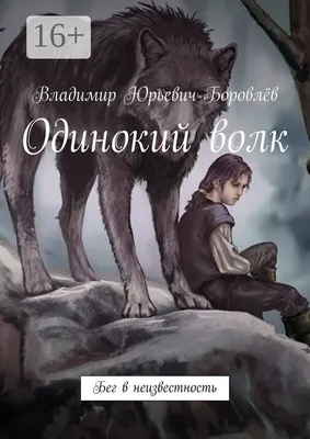 Купить книгу «Одинокий волк», Джоди Пиколт | Издательство «Азбука», ISBN:  978-5-389-22199-4