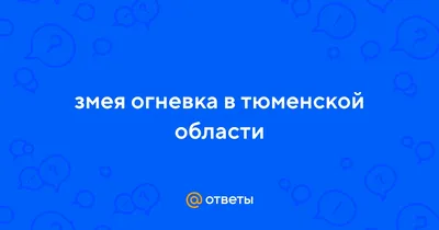 Как правильно кормить эублефара, чтобы не допустить ожирения