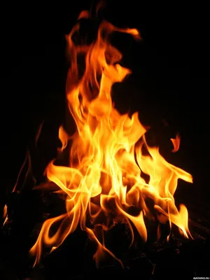 Огонь, #Костер, #аватары, #картинки, #фото, #авы,  https://avatarko.ru/kartinka/14187 | Fotografía de fuego, Fotos de fuego,  Llamas de fuego