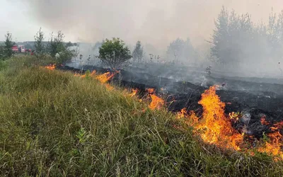 В Самарской области огонь от лесных пожаров уничтожил 18 сельских домов —  РБК