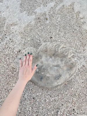 Огромная медуза из созвездий плывет …» — создано в Шедевруме