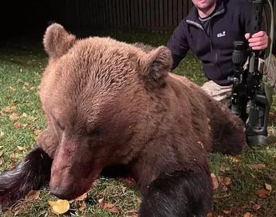 Самый большой медведь в мире