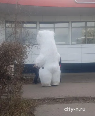 Девушка держит меч в руках, подняла…» — создано в Шедевруме