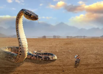 В Сахаре живёт огромная змея, питающаяся верблюдами? Свидетельства  очевидцев, и экспертное мнение серпентолога | BIOсфератум | Дзен