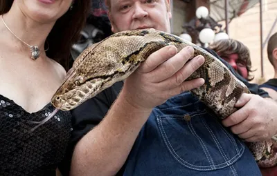 Огромные змеи оккупировали популярное место отдыха в Приморье