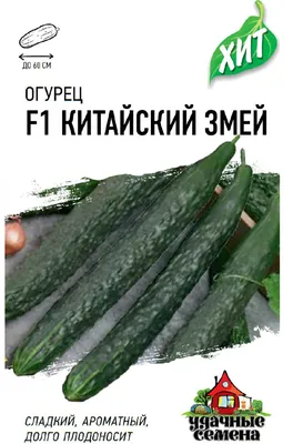 Огурцы китайские змеи фото