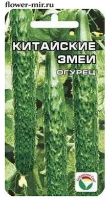 Огурец Китайский Змей F1 7 шт. купить оптом в Томске по цене 24,95 руб.