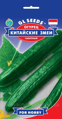 Огурец Китайские Змеи оригинальный салатный сорт среднеспелый неприхотливый  вкусный, упаковка 0,5 г: продажа, цена в Обухове. Семена и рассада овощных  культур от \"Агро-магазин \"СВЕТЛЯЧОК В.А.М.\"\" - 743319845