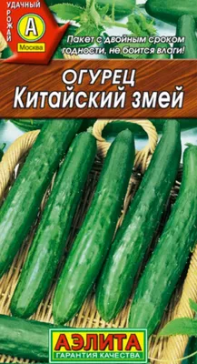 Огурец Китайский эльф 0.5 г Gl Seeds - купить по лучшей цене в  Днепропетровской области от компании \"Agroretail.com.ua\" - 901531081