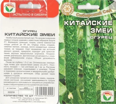 Огурцы «Китайские змеи»: описание характеристик. Посадка и уход,  урожайность сорта и выращивание из семян (фото)