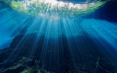 Океан под водой - 59 фото