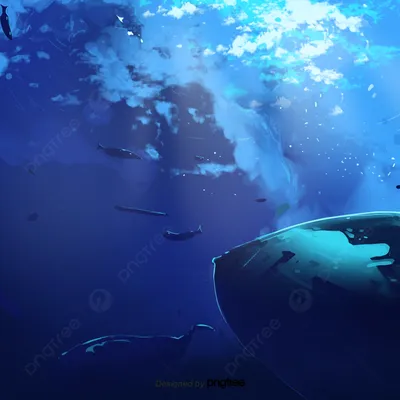 Голубой океан подводный мир Фон, Рыба, океан, морское дно фон картинки и  Фото для бесплатной загрузки