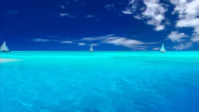 Обои Чистый океан, картинки - Обои для рабочего стола Чистый океан фото из  альбома: (природа)