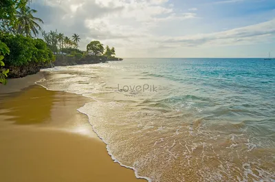Пляж и океан изображение_Фото номер 501499177_JPG Формат  изображения_ru.lovepik.com