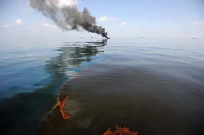 Загрязнение Мирового океана | Русское географическое общество