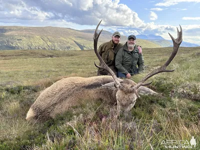 🦌 Охота на оленей: северного, благородного, пятнистого – GetHunt