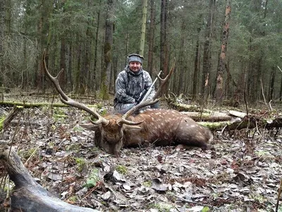 Охота на оленя поздней осенью - рекомендации по экипировке - блог об охоте  Sitka-Gear.ru