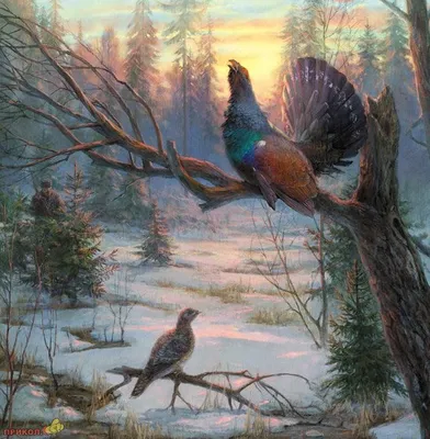 охота рисунки - Поиск в Google | Wildlife art, Waterfowl art, Wildlife  paintings