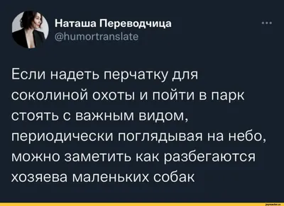 Наташа Переводчица @Иито1Тгапз1а1е • • • Если надеть перчатку для соколиной  охоты и пойти в парк / twitter :: смекалочка :: интернет / смешные картинки  и другие приколы: комиксы, гиф анимация, видео, лучший интеллектуальный  юмор.