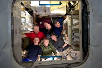 Фотографии космической станции: Астронавты 50-й экспедиции в действии | Космос
