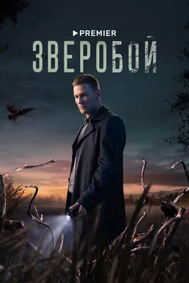 Зверобой (сериал, 1 сезон, все серии), 2022 — смотреть онлайн в хорошем  качестве — Кинопоиск