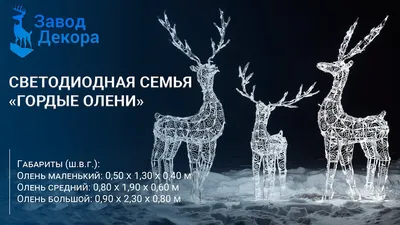 Зачем олени меняют цвет глаз, самый маленький олень и другие интересные  факты об оленях