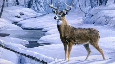 Birch Deer / Fantasy (Fantasy art) :: Piper Thibodeau (Cryptid-Creations)  :: красивые картинки :: artist :: Олень :: art (арт) / картинки, гифки,  прикольные комиксы, интересные статьи по теме.