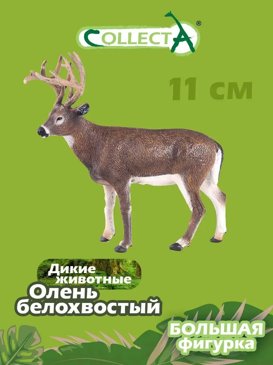 Картинка Олени рогатый олень Животные Картинка Олени рогатый олень Животные