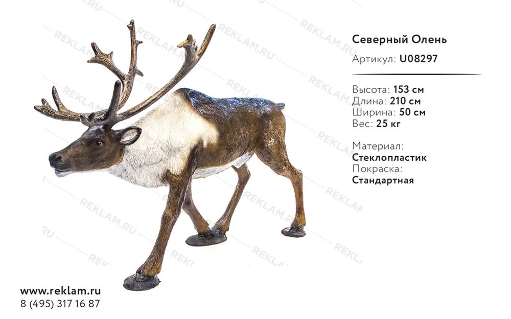 На оленеводческой ферме найден мертвый олень, подозревают, что животное застрелили - Delfi RU На оленеводческой ферме найден мертвый олень, подозревают, что животное застрелили - Delfi RU