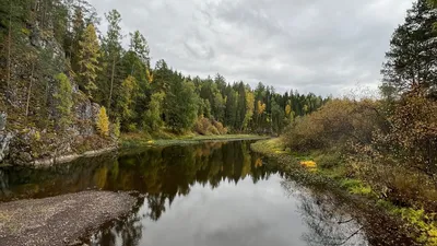 Природный парк Оленьи ручьи