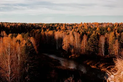 Природный парк Оленьи ручьи - экскурсия по выгодной цене с отзывами на  FindGid