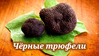 🥟 Купить пельмени из северного оленя с можжевеловыми ягодами - цена в  Шахтах с доставкой - интернет-магазин Дикоед