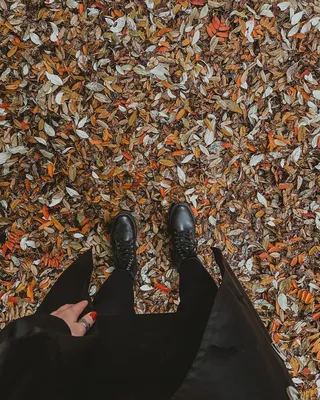Ольга Смирнова в Instagram: «Этой осенью я поняла, что именно это время  года для меня самое любимое ❤️ А для тебя?» | Осень