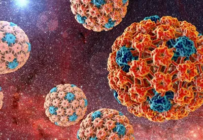 Вирус папилломы человека - какое лечение ВПЧ эффективно? - АЛМ Медицина