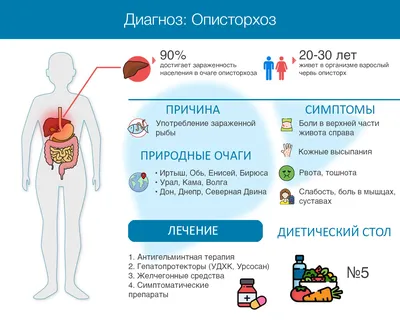 В какой рыбе есть описторхоз. Симптомы болезни у взрослых и детей. Как  вывести паразитов из печени | Все о печени.ру