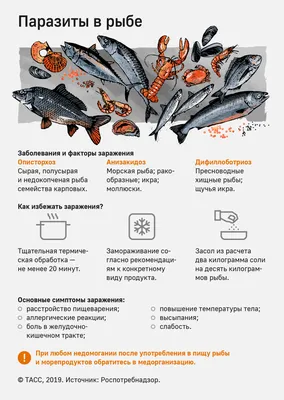 О рисках, связанных с употреблением рыбы и рыбной продукции